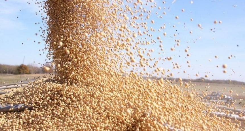 El Gobierno bajará 20% retenciones al campo y bonos valor soja