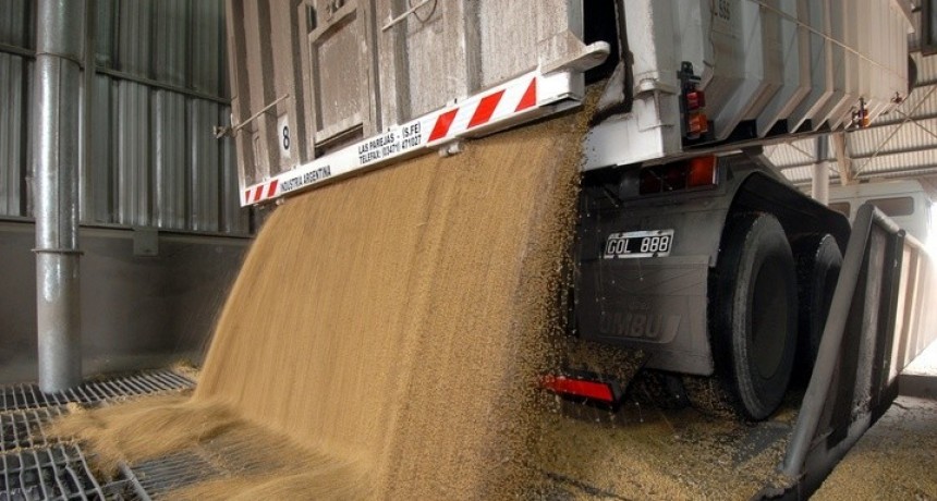 Agroexportadores liquidaron más de u$s3.000 millones en agosto
