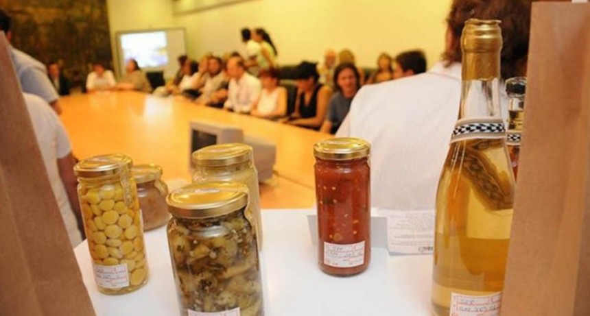 Lanzan programa de microcréditos para potenciar la economía social