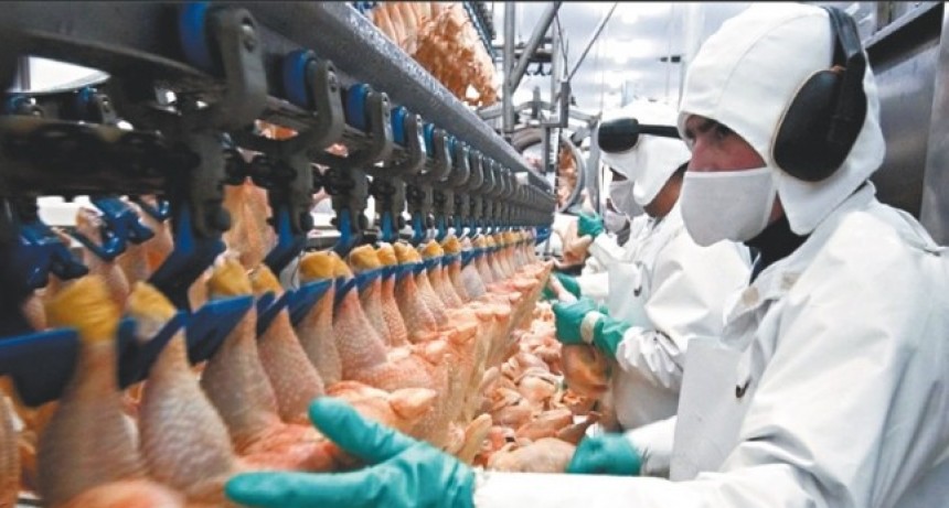 Las exportaciones de carne aviar afectadas por las retenciones y la suba de costos
