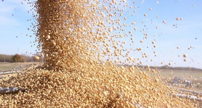 El campo está bloqueado para acceder al dólar Oficial