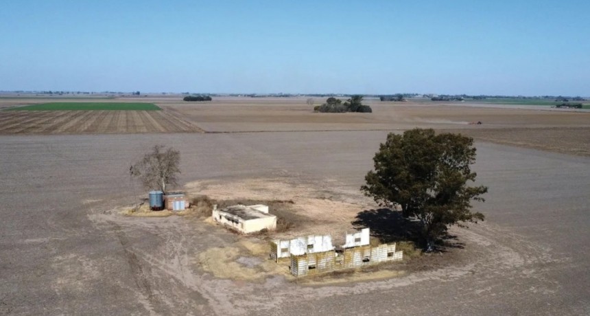 La cosecha de trigo será la más baja de los últimos siete años