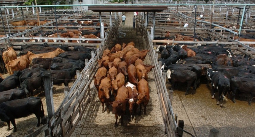  Liniers cerro la semana con subas mercado al 10%