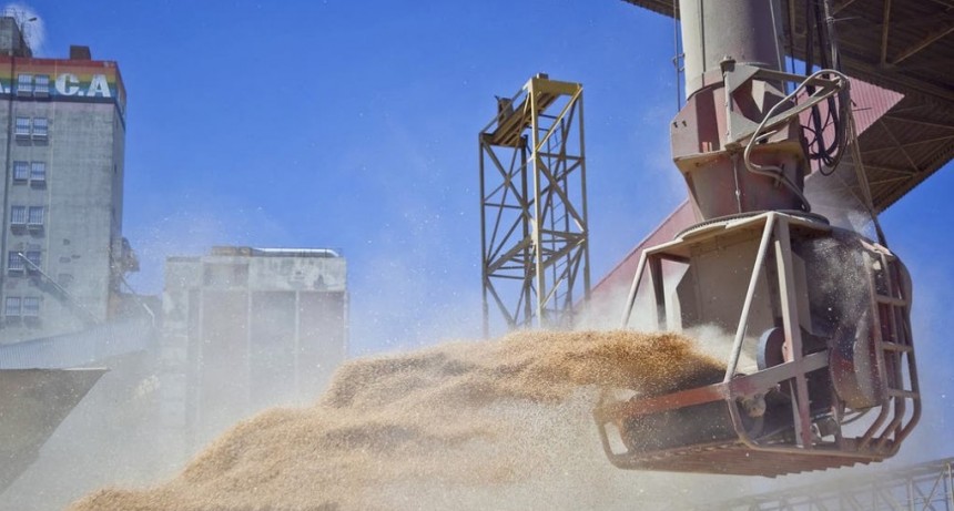 Productores Agricolas consideran insuficientes las nuevas bajas impositivas
