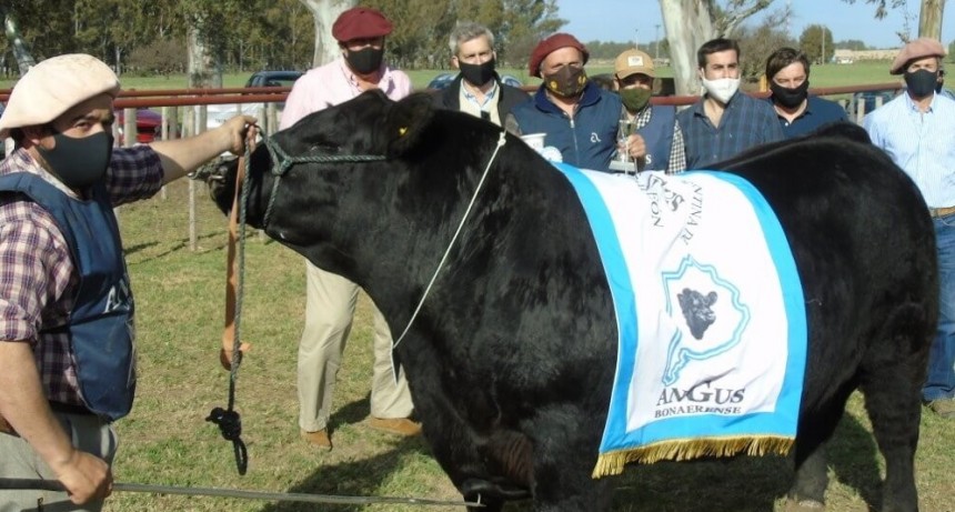 Exposición Rural de Bahía Blanca