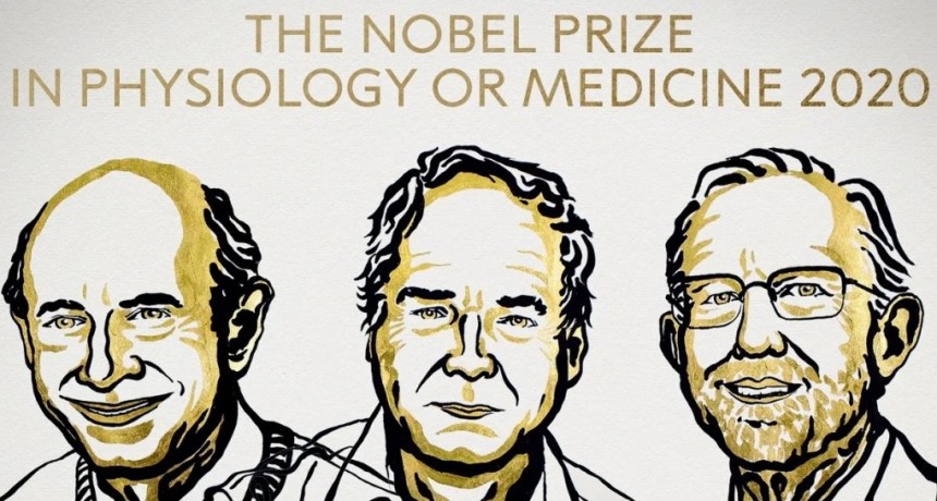 Premio Nobel de Medicina 2020 a los descubridores del virus de la hepatitis C