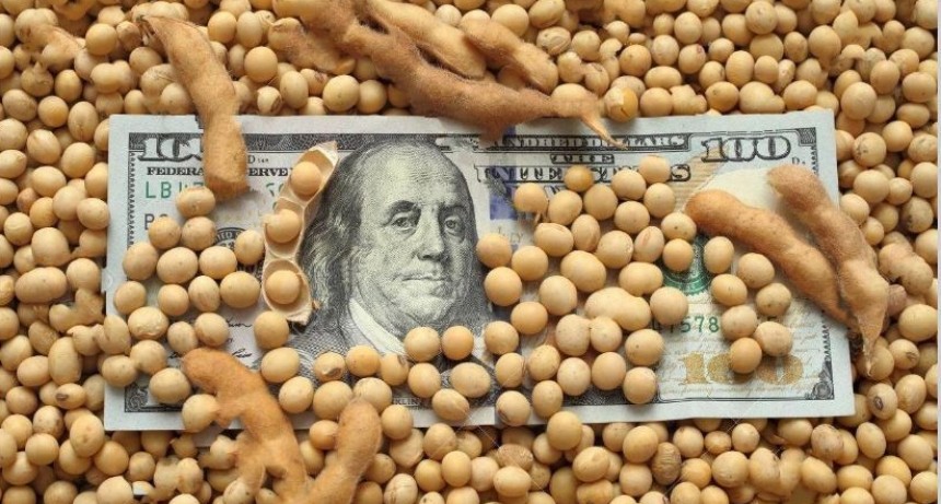 La soja quedó a centavos de superar los US$ 400 en Chicago