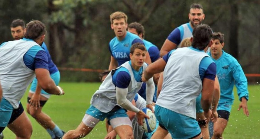 Los Pumas tendrán su primer juego amistoso