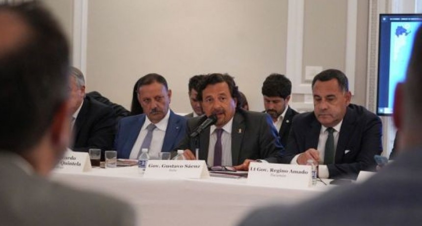 Sáenz expuso el alcance comercial e institucional en Estados Unidos.