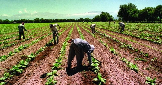 Peones rurales tendrán bono de fin de año