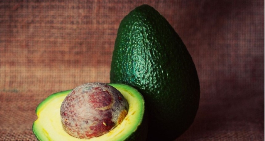 La palta ayuda al descenso del colesterol