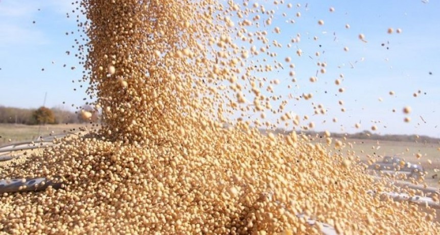 Prevén que el próximo gobierno aplique impuestos extra al agro
