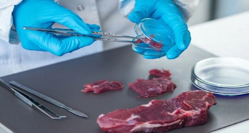 Argentina ya produce su propia carne cultivada