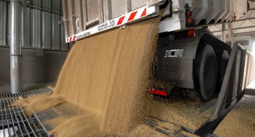 Las declaraciones juradas de exportación de grano 2020 son récord