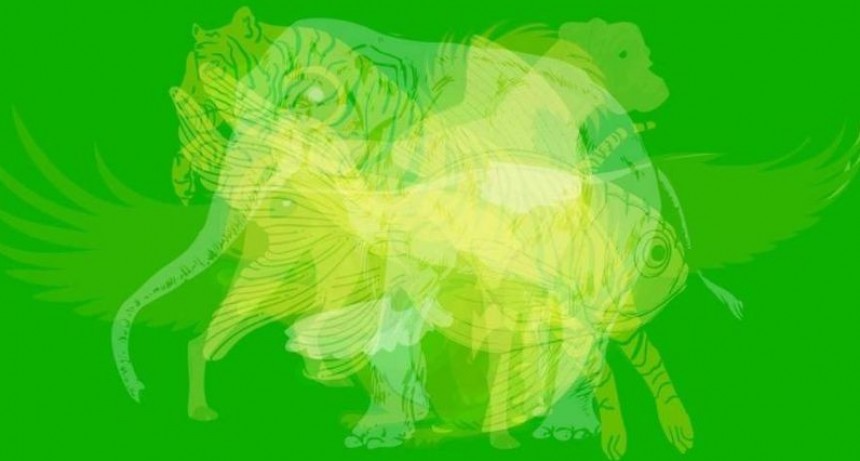 ¿Qué animal ves primero en esta imagen?
