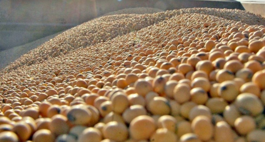 El precio de la soja subió casi 2% en el mercado de Chicago