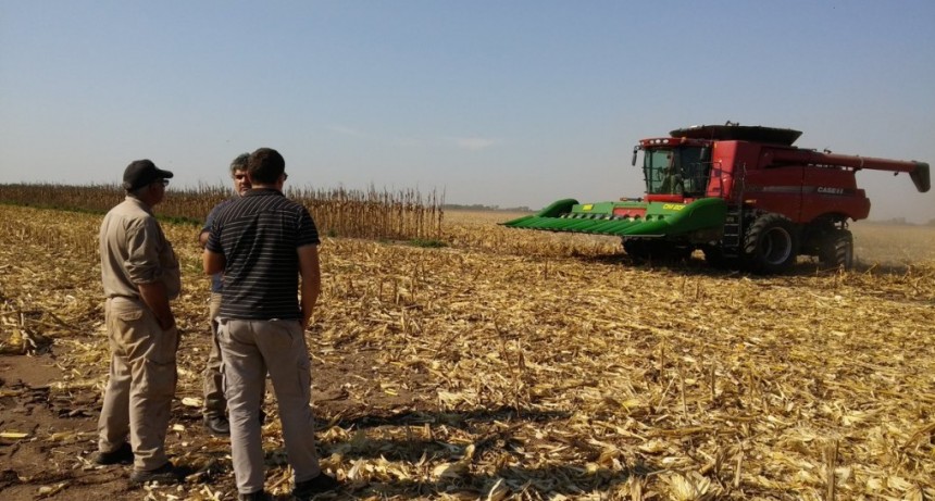 Los productores por primera vez ven con igual pesimismo el presente y el futuro