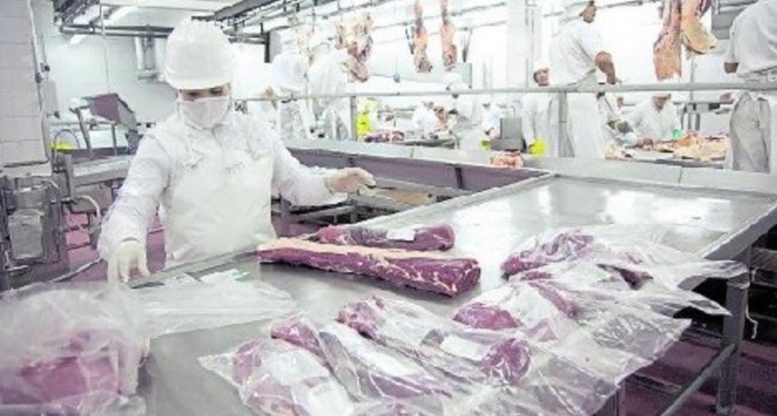 La presencia de ractopamina en carne no es grave