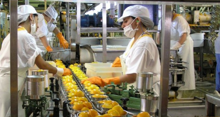 Las Empresas no preveen contrataciones en el 2020