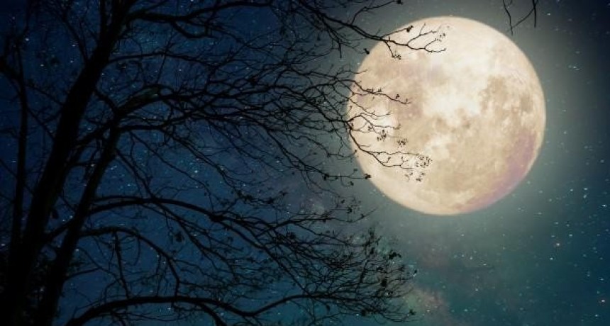 La ultima luna llena 2020 favorece algunos signos 