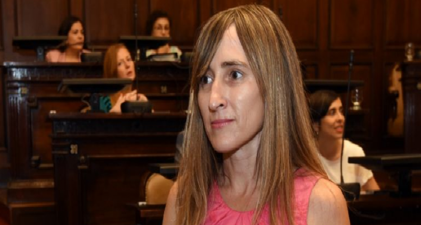 Diputada  de Mendoza propuso bajar el 30% del salario de los legisladores