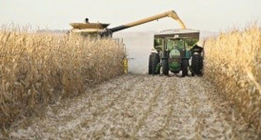 Segmentan retenciones para favorecer a pequeños productores