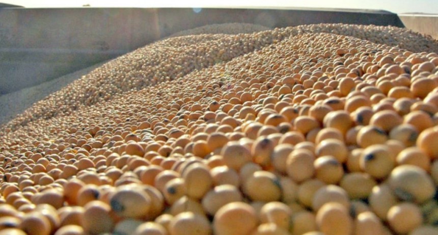 El Gobierno le sacará al campo US$2000 millones extra en soja, maíz y trigo. 
