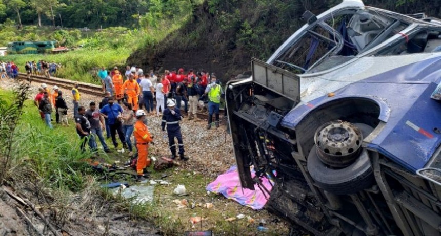 Un micro desbarrancado dejó 14 muertos en Brasil