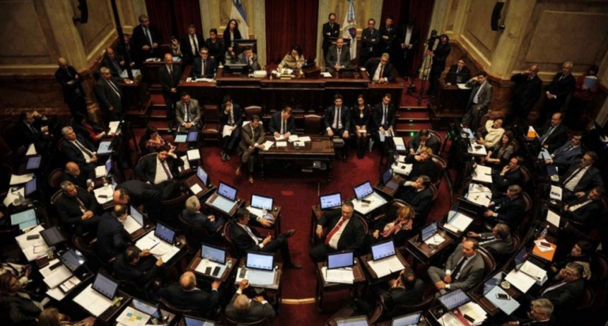 El Senado convirtió en ley el impuesto a la riqueza