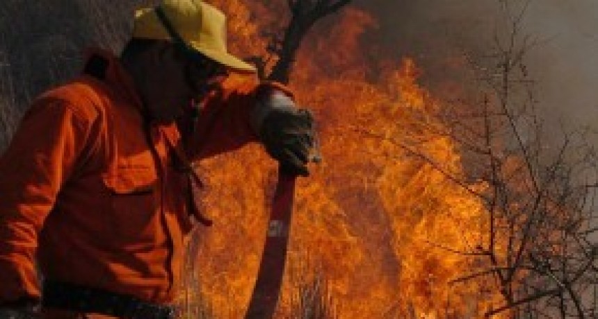 El Senado convirtió en ley el Manejo del Fuego