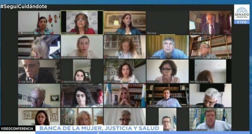 El Aborto legal tiene dictamen en comisiones del Senado