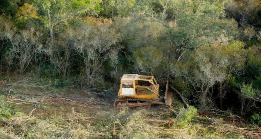 Los desmontes equivalente a casi tres veces la provincia de Tucumán