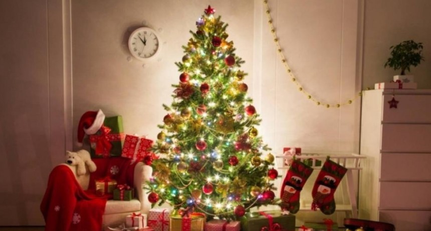 Cuantó gastaste en armar tu arbolito de Navidad
