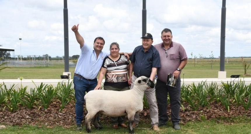 Pagaron $6 millones por una borrega en un remate ovino